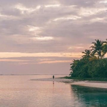 Avatar do jogador Anika